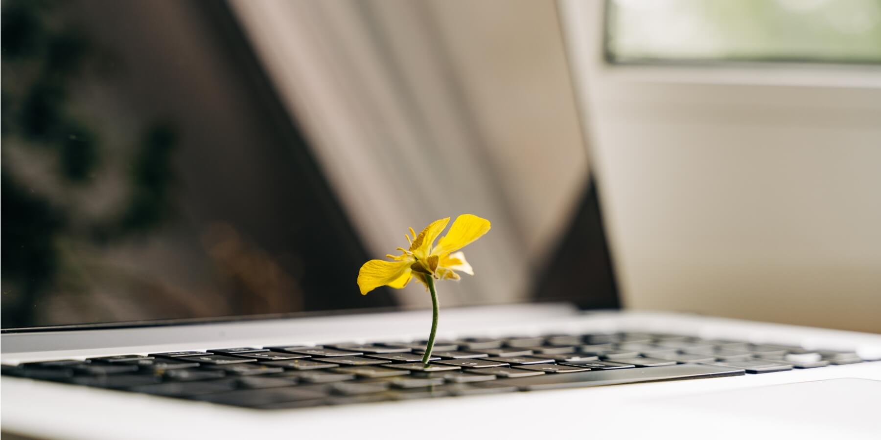 勞動人權與企業責任：全球供應鏈下勞工權益的新興關注點